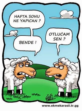 Ne Kadar Asosyalsin? Hadi Test Edelim!