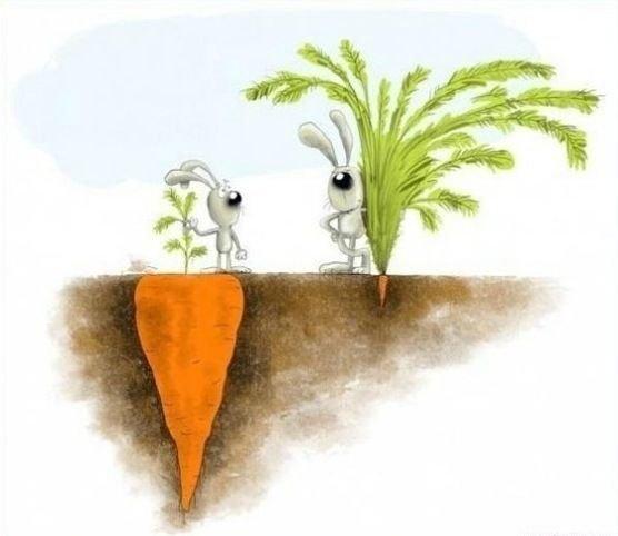Algılar sonucunda oluşan ön yargılarımız.