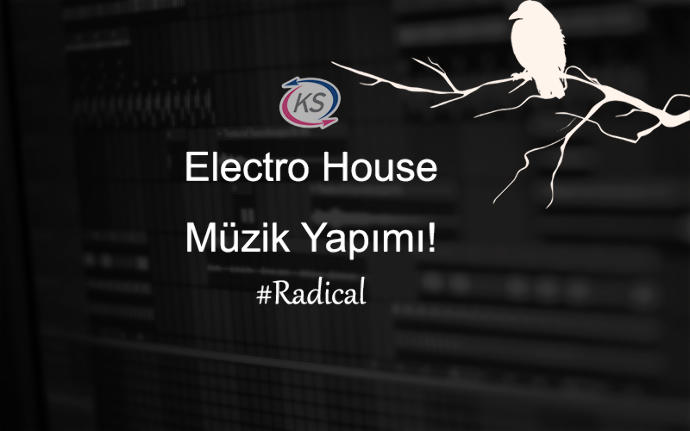 Electro House Müzik Yapımı!