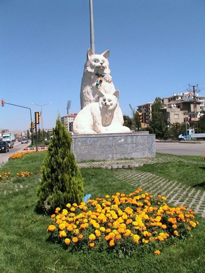 Sinema İle Tanışma Hikâyem