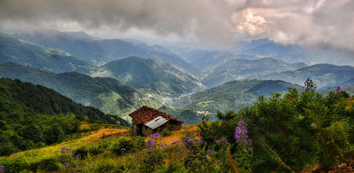 Fındık Gibi Şehir: Trabzon