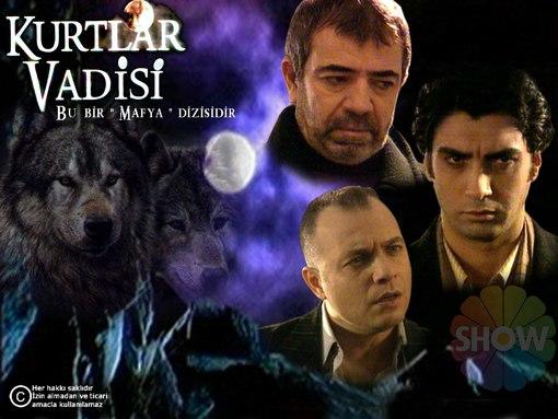 BURASI ''KURTLAR VADİSİ''