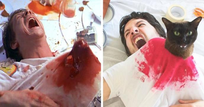 Filmleri Trollemeler: Başrolde Kedi, Figüran ise Sahibi