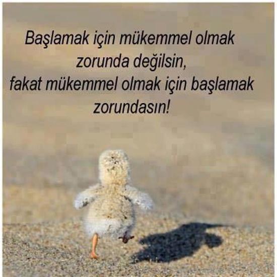 Hayata sıfırdan başlamak hakkında birkaç ipucu Hayata sıfırdan başlamak hakkında birkaç ipucu