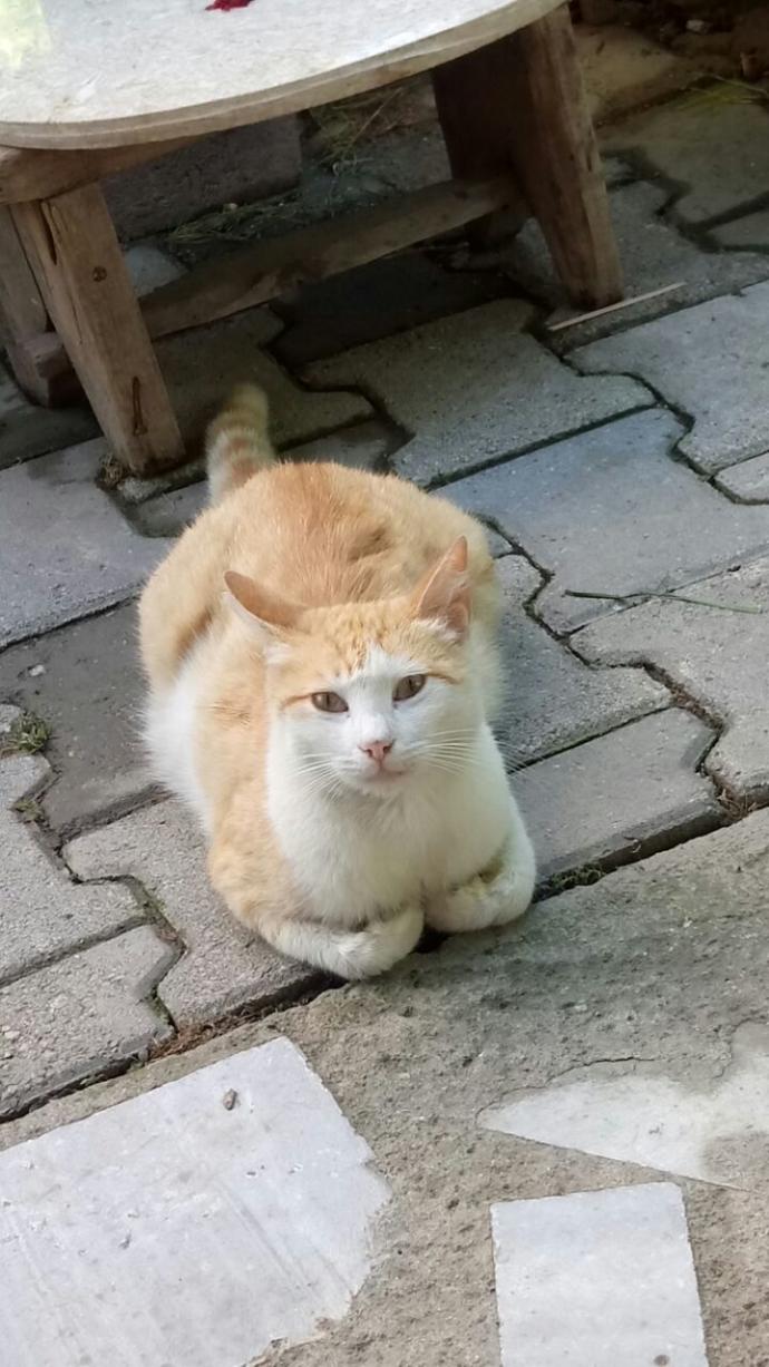Evlilikte Aşkı Bitiren 5 Gerçek!
