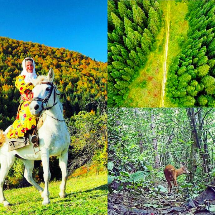 Kastamonu'nun Doğal Güzellikleri