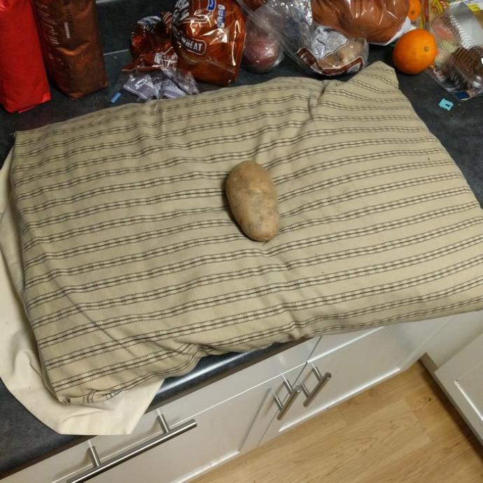 Prenses Değil Şirin Birer Patates Olan Kızlara İthafen: Ünlü Masal Prenseslerinin Hiç Görmediğiniz Patates Halleri