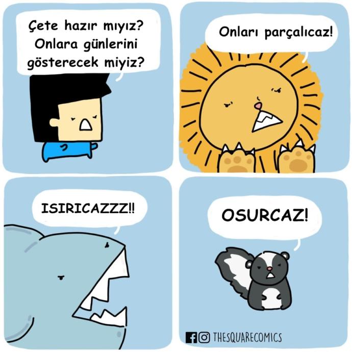 Eğer Konuşabilselerdi Harikalar Yaratırlardı Diyeceğimiz Hayvanlar ve Nesneler!