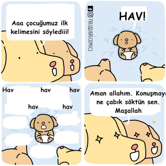 Eğer Konuşabilselerdi Harikalar Yaratırlardı Diyeceğimiz Hayvanlar ve Nesneler!