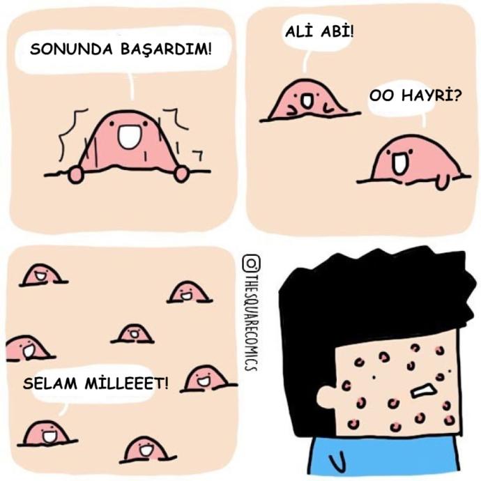 Eğer Konuşabilselerdi Harikalar Yaratırlardı Diyeceğimiz Hayvanlar ve Nesneler!