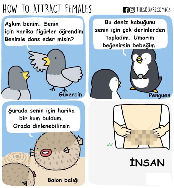 Eğer Konuşabilselerdi Harikalar Yaratırlardı Diyeceğimiz Hayvanlar ve Nesneler!