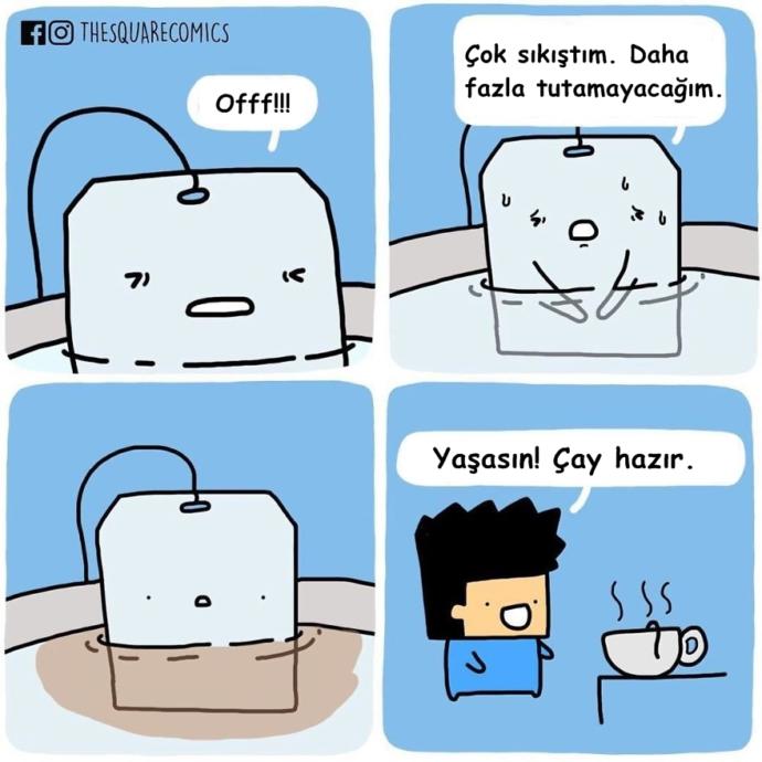 Eğer Konuşabilselerdi Harikalar Yaratırlardı Diyeceğimiz Hayvanlar ve Nesneler!