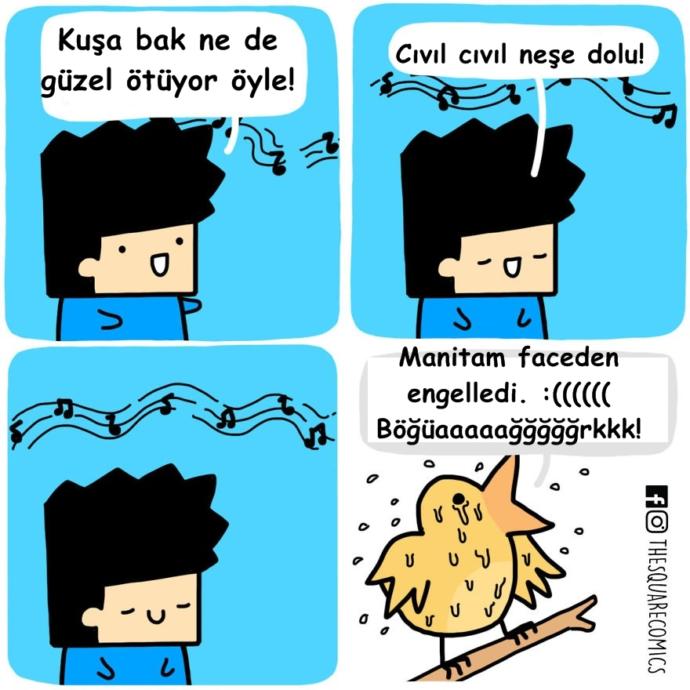 Eğer Konuşabilselerdi Harikalar Yaratırlardı Diyeceğimiz Hayvanlar ve Nesneler!