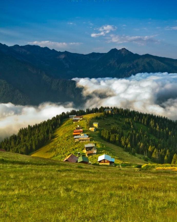 Bulutların Yastık Olduğu Yer: Pokut Yaylası!
