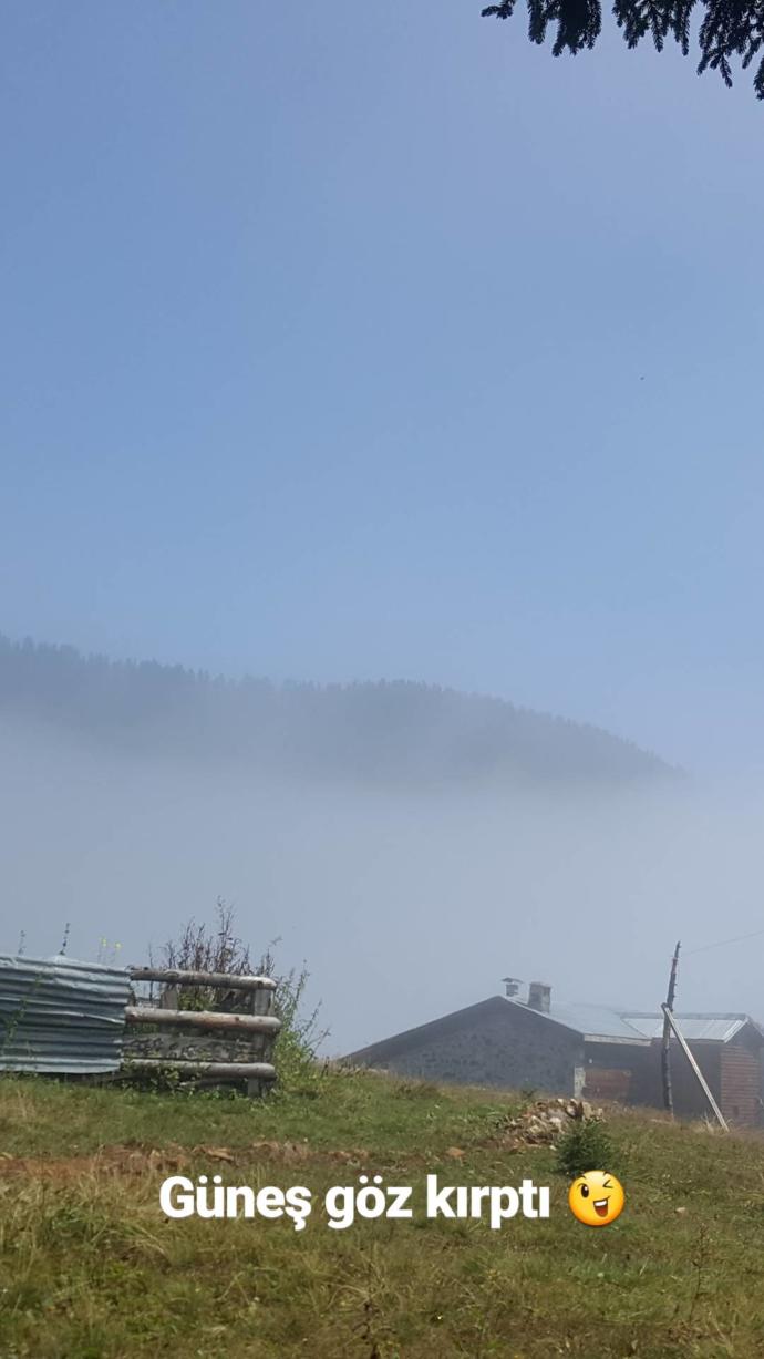 Bulutların Yastık Olduğu Yer: Pokut Yaylası!