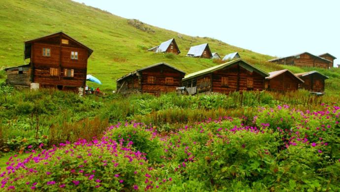 Bulutların Yastık Olduğu Yer: Pokut Yaylası!