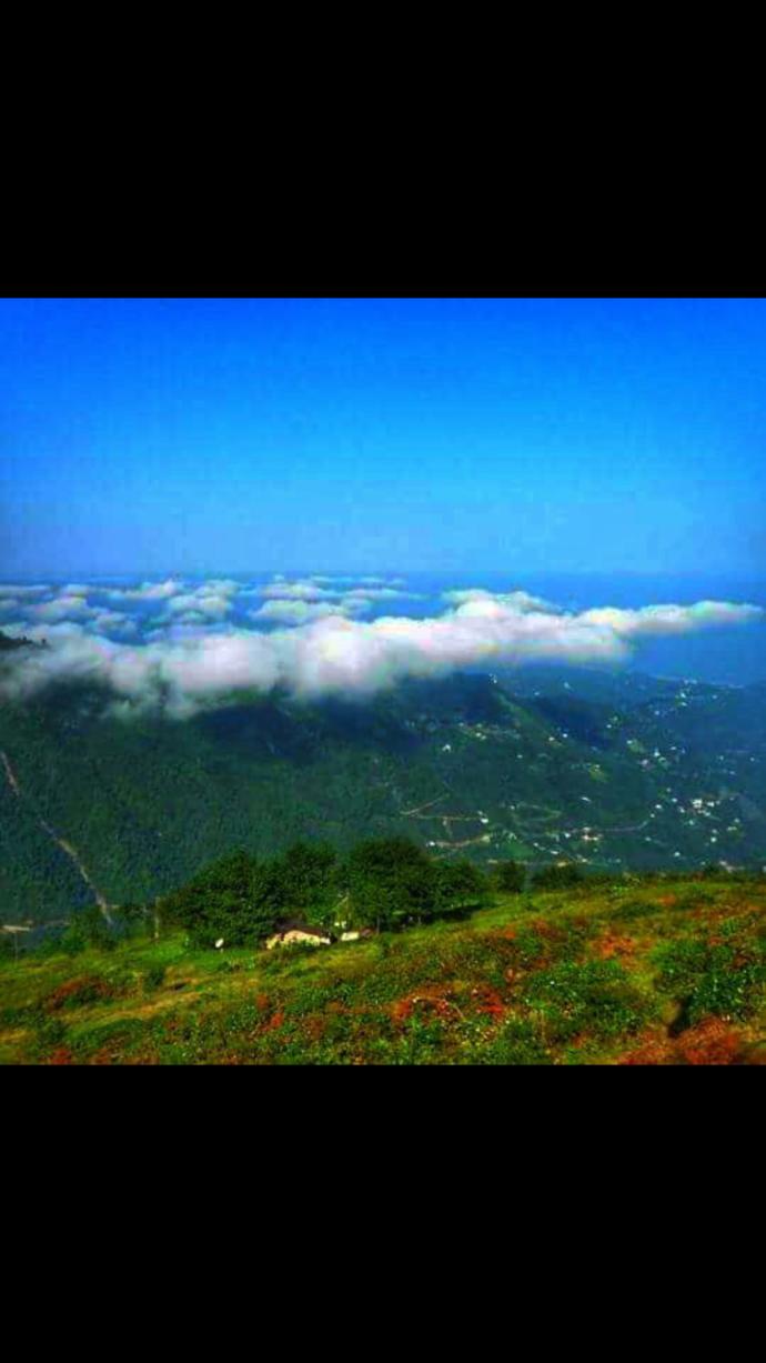 Bulutların Yastık Olduğu Yer: Pokut Yaylası!