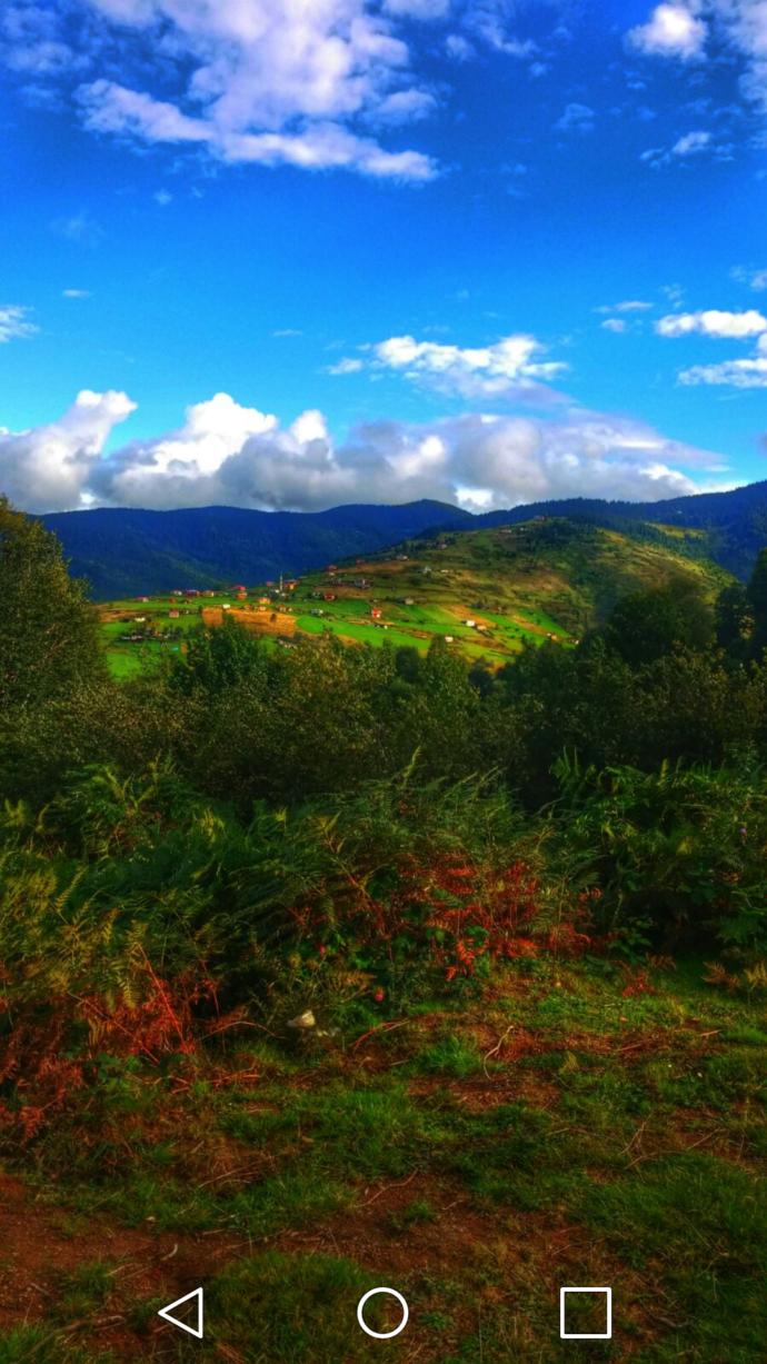 Bulutların Yastık Olduğu Yer: Pokut Yaylası!