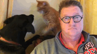 Aynı Anda Kedi ve Köpek Beslenmeyeceğinin İspatı Niteliğinde Harika Kareler!