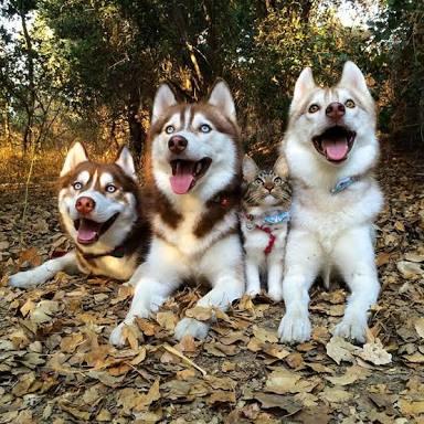 En Yakışıklıların Köpek-Severlerden Çıktığının Kanıtı Niteliğinde 10 Karizma Erkek!