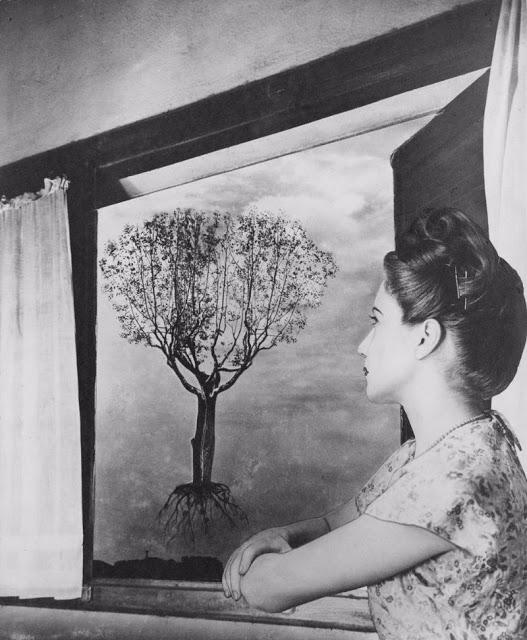 "Eskiden Photoshop mu Vardı?" Dedirten ve Eril Zihniyetin Kalıplarını Fotoğrafları ile Yıkan Kadın!