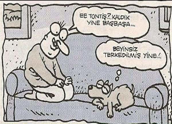 Duyunca Midenizin Bulanmasına Neden Olacak 7 Ayrılma Bahanesi