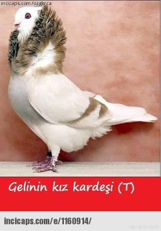 Düğünlere Gitmek İstemeyen İnsanların 6 Nedeni!