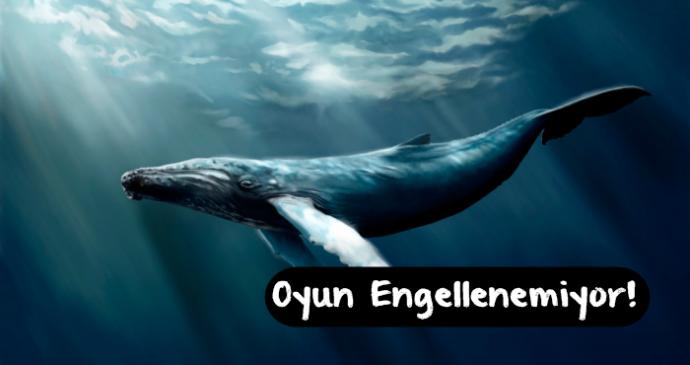 Mavi Balina Çıktıktan Sonra Gelişen Olaylar!