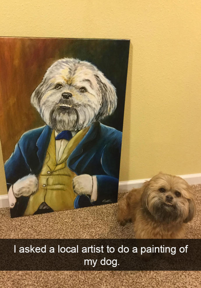 Hepimize "Şu Köpeğin Yaşadığı Hayata Bak!" Dedirtecek Çok Şanslı Köpekler!