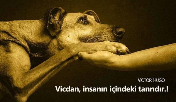 İnsanlığın Hala Bir Yerlerde Yaşadığını Anlatan Küçük Hikayeler!