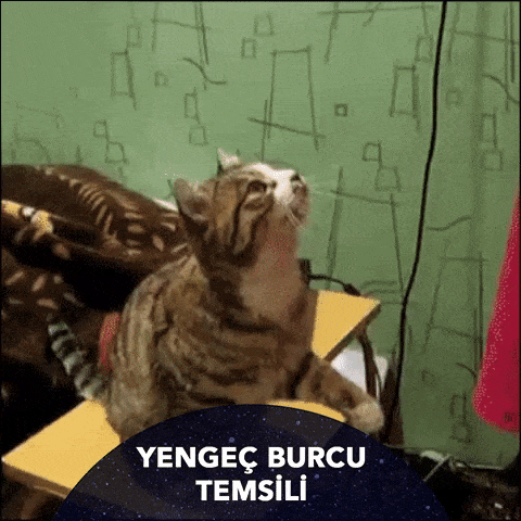 Hislerinin İçine Hapsolmuş Yengeç Burçlarının Duygusal Dünyasıyla Tanışın!