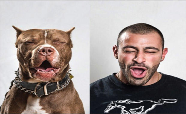 "Bir Köpeğin Dostluğu, Bir Dostun Köpekliğinden İyidir" Dedirten En Sevimli Köpeklerin Birbirinden Tatlı Halleri!
