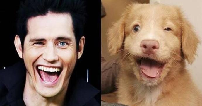"Bir Köpeğin Dostluğu, Bir Dostun Köpekliğinden İyidir" Dedirten En Sevimli Köpeklerin Birbirinden Tatlı Halleri!