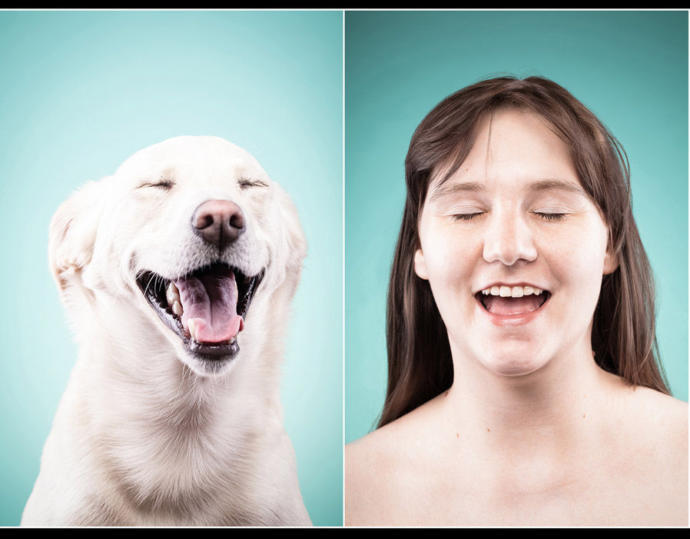"Bir Köpeğin Dostluğu, Bir Dostun Köpekliğinden İyidir" Dedirten En Sevimli Köpeklerin Birbirinden Tatlı Halleri!