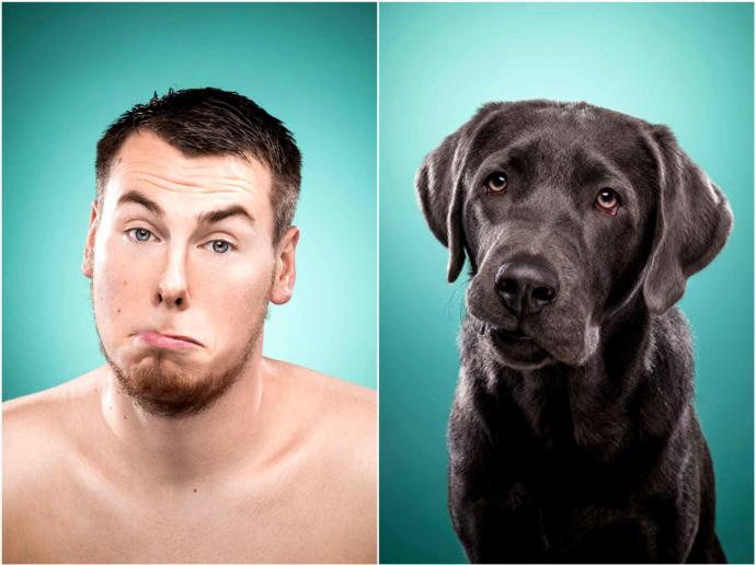 "Bir Köpeğin Dostluğu, Bir Dostun Köpekliğinden İyidir" Dedirten En Sevimli Köpeklerin Birbirinden Tatlı Halleri!