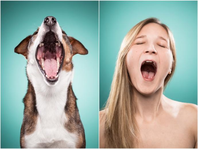 "Bir Köpeğin Dostluğu, Bir Dostun Köpekliğinden İyidir" Dedirten En Sevimli Köpeklerin Birbirinden Tatlı Halleri!
