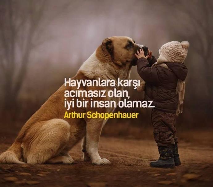 Toplum İçinde Yapılmaması Gereken Hareketler