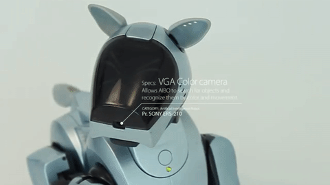 Sürekli Seyahat Etmek Zorunda Kalan İnsanların Tercih Ettiği Köpek: Sony AIBO