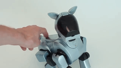Sürekli Seyahat Etmek Zorunda Kalan İnsanların Tercih Ettiği Köpek: Sony AIBO