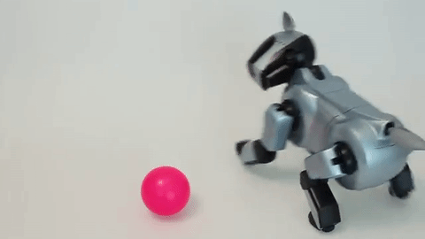 Sürekli Seyahat Etmek Zorunda Kalan İnsanların Tercih Ettiği Köpek: Sony AIBO