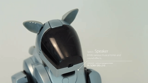 Sürekli Seyahat Etmek Zorunda Kalan İnsanların Tercih Ettiği Köpek: Sony AIBO