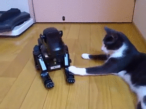 Sürekli Seyahat Etmek Zorunda Kalan İnsanların Tercih Ettiği Köpek: Sony AIBO