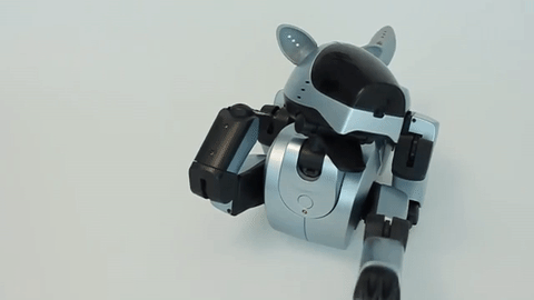 Sürekli Seyahat Etmek Zorunda Kalan İnsanların Tercih Ettiği Köpek: Sony AIBO