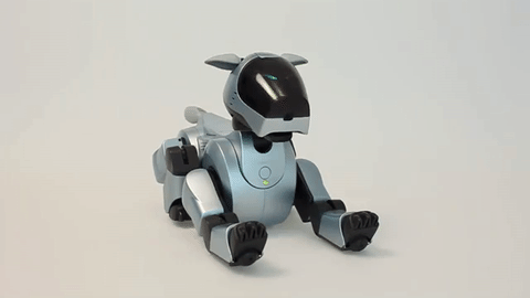 Sürekli Seyahat Etmek Zorunda Kalan İnsanların Tercih Ettiği Köpek: Sony AIBO