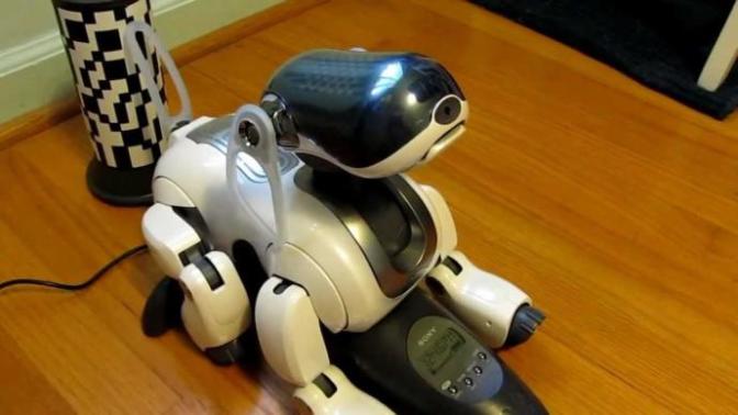 Sürekli Seyahat Etmek Zorunda Kalan İnsanların Tercih Ettiği Köpek: Sony AIBO