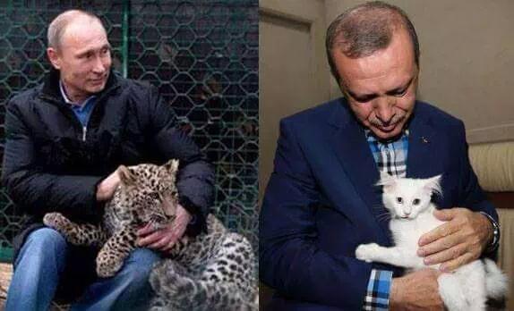 4 Ekim Hayvanları Koruma Günü Adına: Bu 8 Maddeyle Hayvanların Hayatını Hep Beraber Güzelleştirebiliriz!