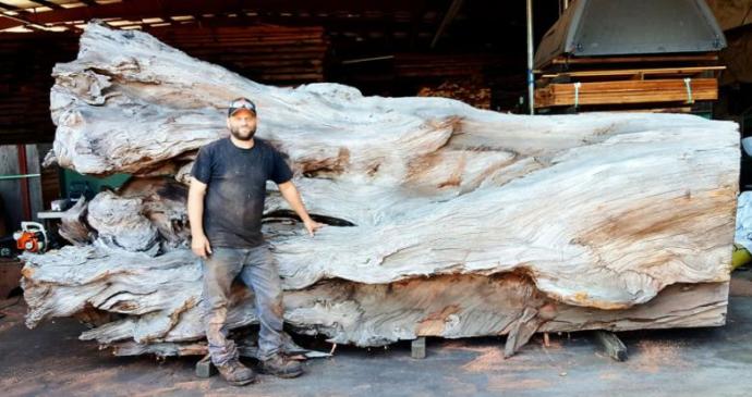 Kurumuş ve Yıkılmış Bir Ağacı Sanat Eserine Çeviren Adam: Jeffrey Michael Samudosky!