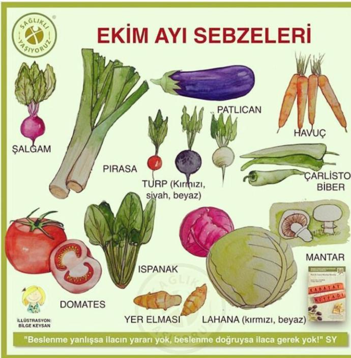 Kış Kapıdan Bakarken Ekim Sebzesi Ispanak Tarifi!