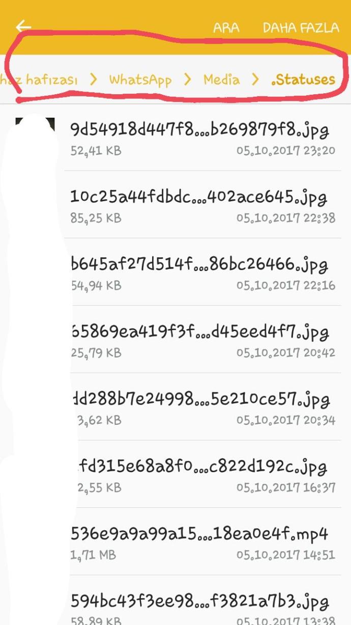 WhatsApp Durumlarını Noname Görebilmenin Yolu