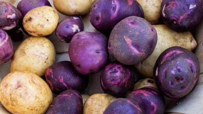 Dünyanın En Sıra Dışı Görünüme Sahip Bitkileri!